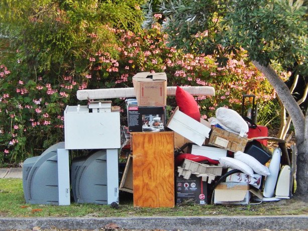 junk-waste-garbage-jumeirah-park-dubai-big-2